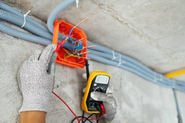 Best Residential Electrician Services  in Carroll, IA